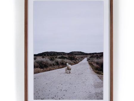 Sheep Walking By Teague Studio Online now