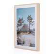 Joshua Tree Iv By Sarah Ellefson Online Hot Sale