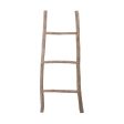 Wood White Washed Ladder - Small Fashion