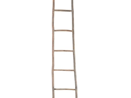 Wood White Washed Ladder - Large Fashion