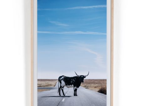 Longhorn Crossing By Teague Studio Online Sale