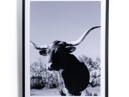 Longhorn By Teague Collection Discount