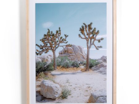 Joshua Tree Iv By Sarah Ellefson Online Hot Sale