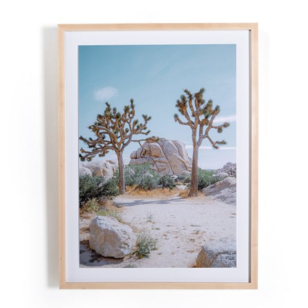 Joshua Tree Iv By Sarah Ellefson Online Hot Sale