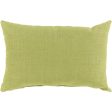 Storm Indoor Outdoor Lime Pillow Cover in Various Sizes For Cheap