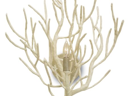 Eventide Wall Sconce For Sale