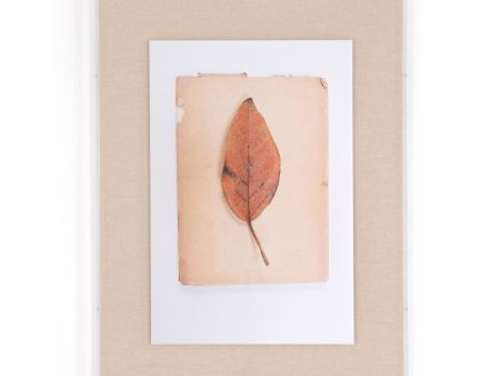 Leaf I By Teague Collection Hot on Sale