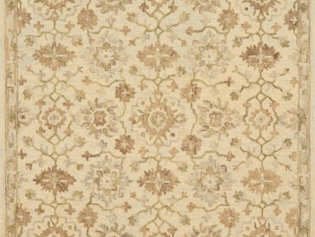 Hawthorne Hooked Beige Rug For Discount